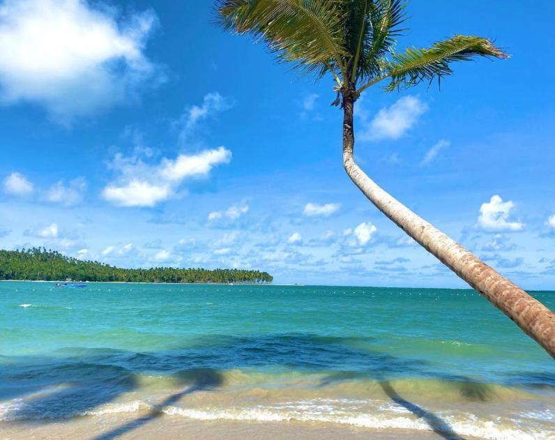 Flat Praia Dos Carneiros Eco Resort 26 타만다레 외부 사진